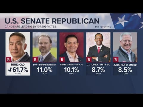 Virginia primary elections | In Focus