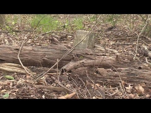 Family fights to preserve historic Black cemetery on Houston's east side