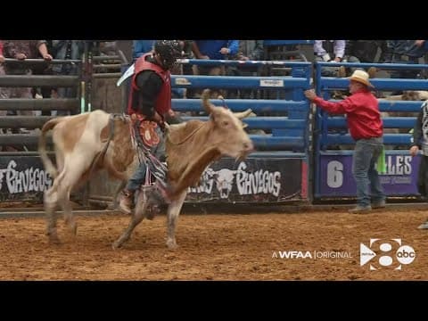 Senior bullriders hang on for one last thrill
