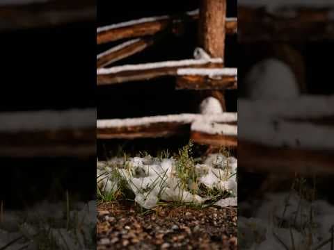 Colorado gets first snow of winter