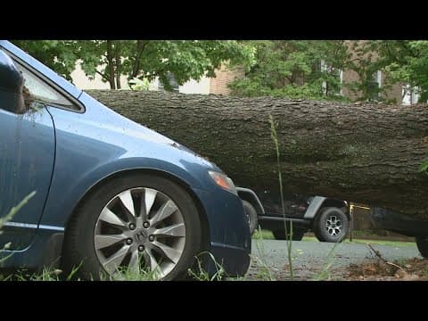 2 dead after trees fall on cars, thousands still without power after severe thunderstorms