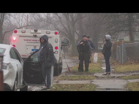 2nd dog caught from deadly east Indianapolis attack that killed 85-year-old man