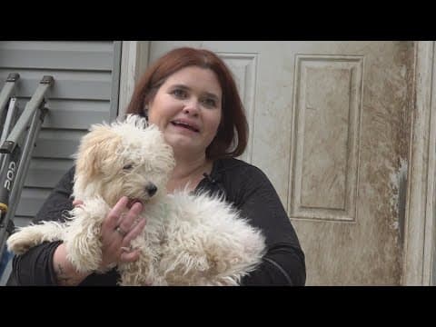 Puppy abandoned at Indianapolis International Airport