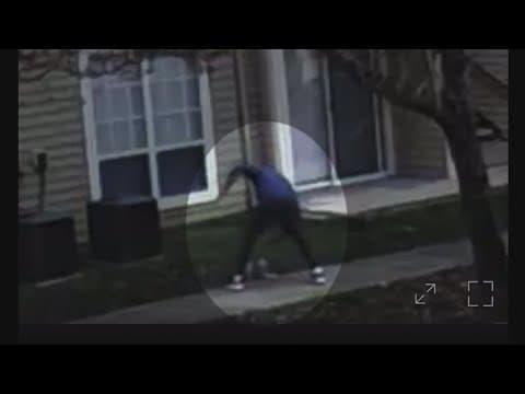 CAUGHT ON CAMERA: Man brutally attacks small dog in Hyattsville