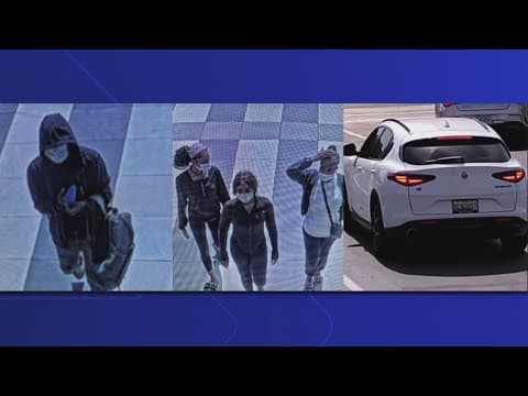 Search for robbers who stole $100k worth of luxury handbags from Tysons Galleria