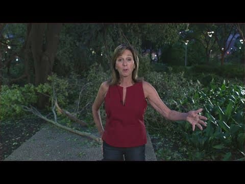 Tracking Beryl's aftermath: Damage left around the Houston area