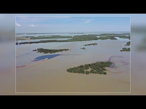 Cleanup underway after oil and gas leak in Plaquemines Parish marsh