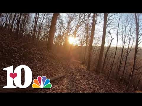 A hike on the Hootin Hollow Trail at Norris Dam State Park | 10Explores