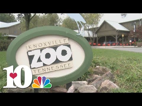 KCHD says Zoo Knoxville's water tested negative for cryptosporidium