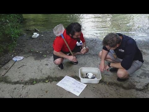 Cool Camps: Here are some of the cool activities kids get to try at the Great Smoky Mountains Instit