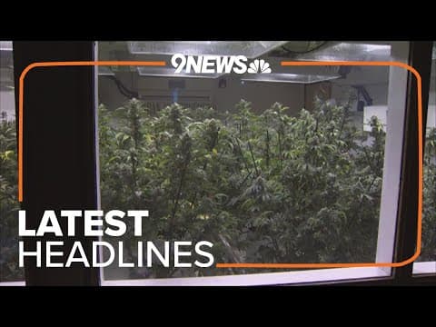 Latest Headlines | 2024 Marks One Decade of Legalized Weed in Colorado