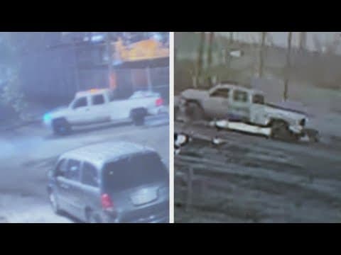 Shingle thieves caught on camera again