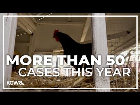First human case of bird flu hits Oregon