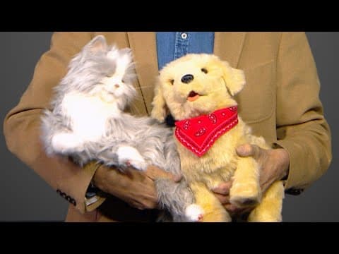 Capital Caring's robotic companion pets give care and comfort to those in need