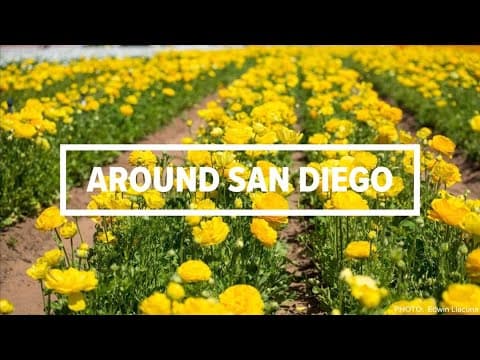 Around San Diego | April 13