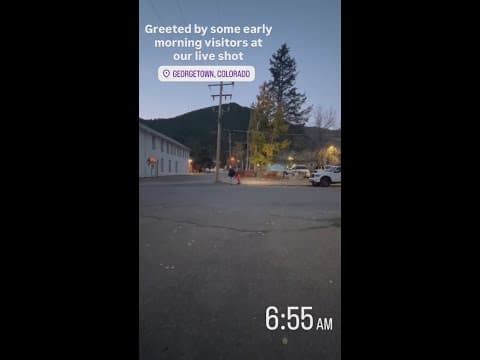 9NEWS had some early morning live shot visitors!