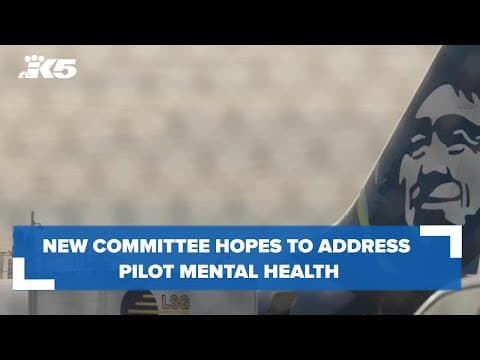 New committee to address pilot mental health after off-duty pilot tried to shut down plane leaving P