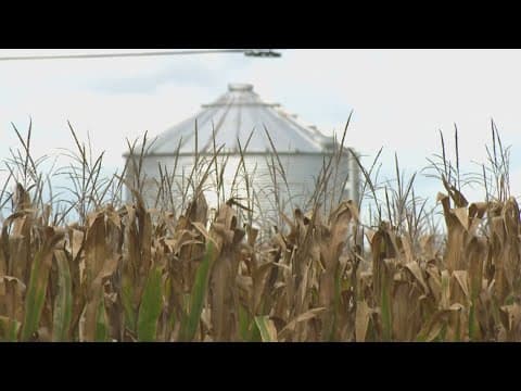 Indiana farmer still concerned about future despite state's deal with Taiwan