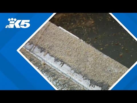 Lynnwood shuts down America's oldest human waste incinerator