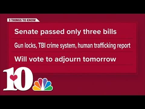 TN Senate passes three bills during special session