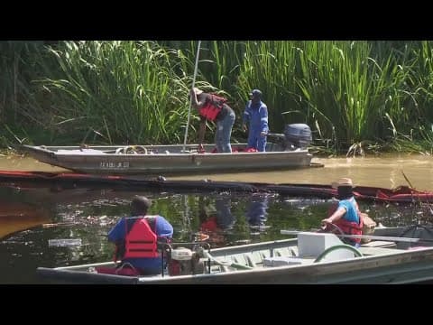 20 dead animals found after oil spill in Bayou Lafourche, officials say