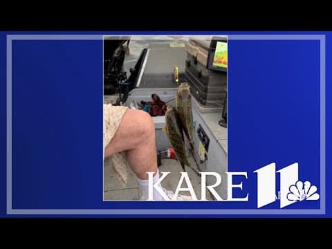 Your Good News: Friday's Atlanta edition