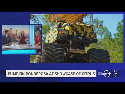 Fall Festival season across Florida with Travel Expert Sarah Phinney