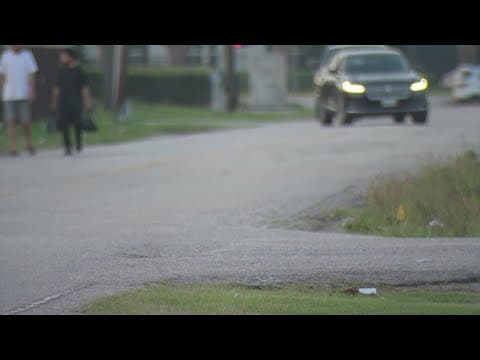 City of Houston to hold cleanup of 'Bissonnet Track'