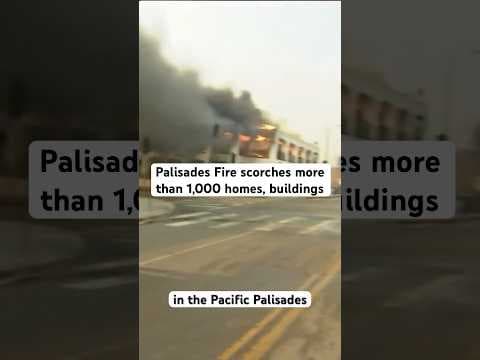 Pacific Palisades continues to burn in Los Angeles. #news #wildfire #california