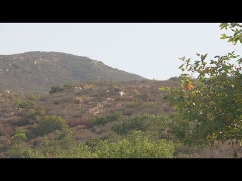 Headed outside? How to stay safe during extreme heat in San Diego County