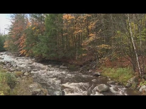 Drought dulls fall leaf colors across the coutry