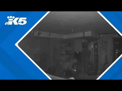 YouTube thumbnail for video TFEL3VOeTs4