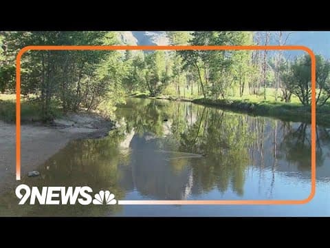 The positive impacts of nature on mental health