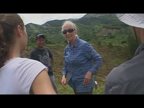 Jane Goodall, renowned primatologist, has died at 91