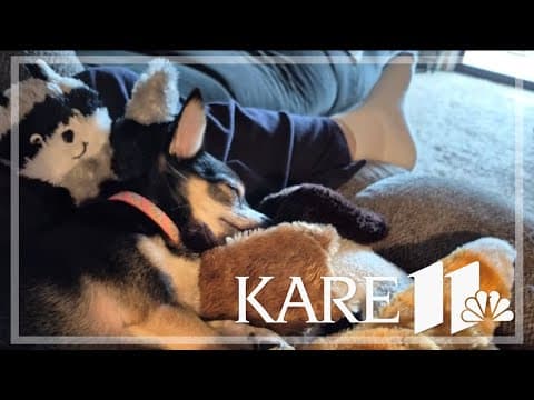 Your Good News: Daniel, Bonnie, Diane