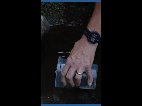 Paine Field pushes back on claim that expansion will endanger salmon habitat