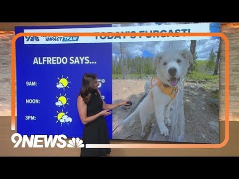 Colorado weather 'furcast' for Saturday