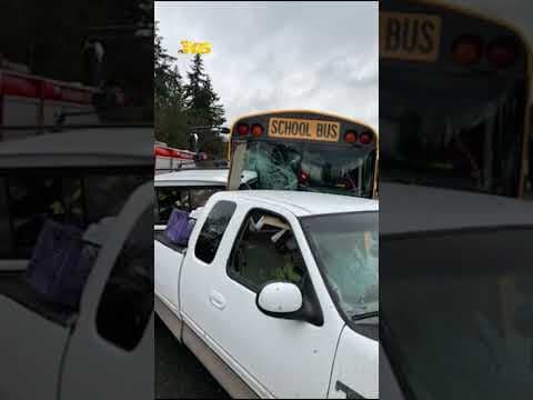 School bus involved in crash on I-405