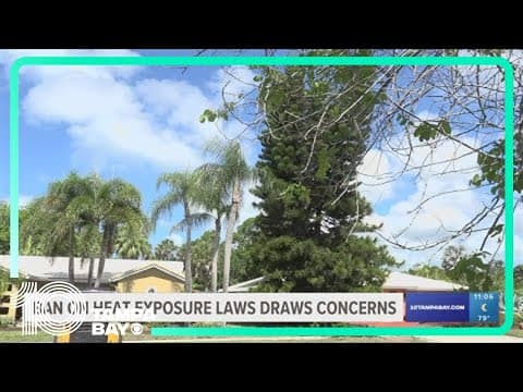 Tampa Bay representative urges government to enact protections for workers against extreme heat