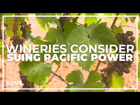 Pacific Power may face lawsuit from Oregon wineries resulting from 2020 wildfires