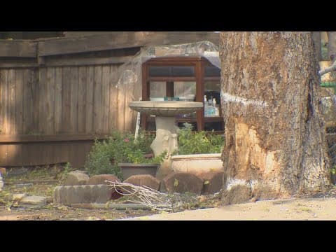 1 dead after car crashes into a tree, officials say