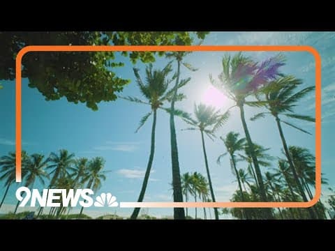 Best travel tips and spots for visiting Miami