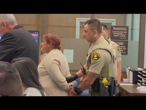 Mother of 2 children hit and killed on SR-78 freeway back in jail