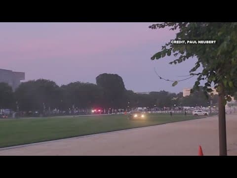 National Mall driver released while awaiting trial
