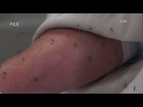 9 human cases of West Nile virus in Louisiana