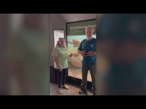 The Dallas Zoo goes viral for "Gen Z slang" video