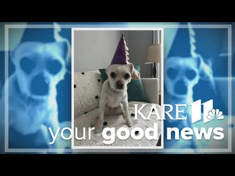 Your Good News: AmyJo Rothbauer, Lyndsay Bertie, Jackie Heintz, cemetery cats