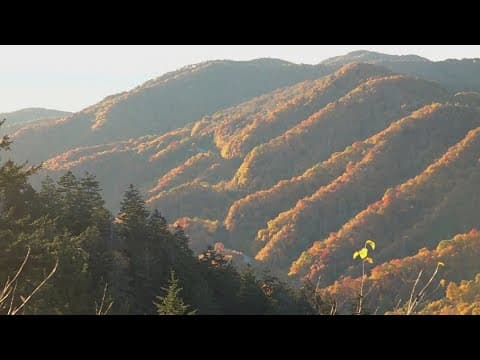 Federal layoffs impact some Great Smoky Mountains National Park employees