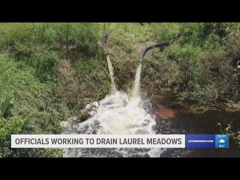 Sarasota officials focus on flood drainage as Red Cross, other volunteers help clean up