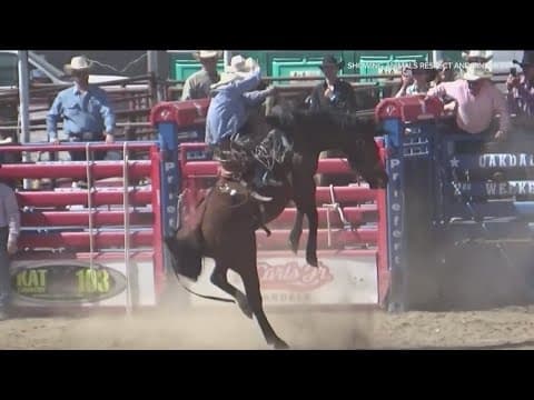 Fate of Petco Park rodeo to be decided next week